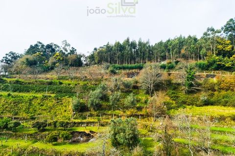 Træhytte i Ponte de Lima, Viana do Castelo, Ponte de Lima - € 45.000 | Ref: CAS_1698 - foto 9