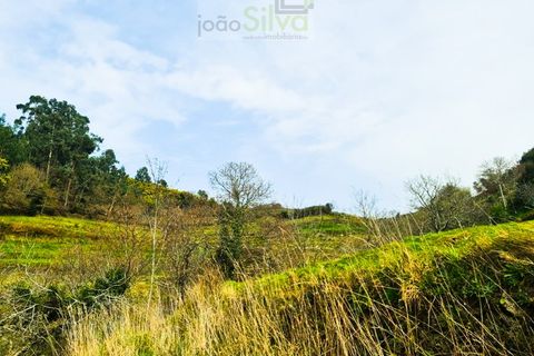 Træhytte i Ponte de Lima, Viana do Castelo, Ponte de Lima - € 45.000 | Ref: CAS_1698 - foto 10