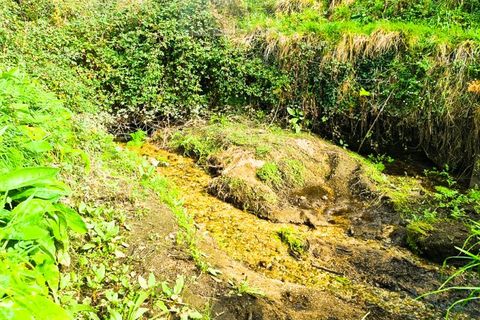 Træhytte i Ponte de Lima, Viana do Castelo, Ponte de Lima - € 45.000 | Ref: CAS_1698 - foto 13