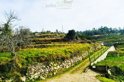 Træhytte i Ponte de Lima, Viana do Castelo, Ponte de Lima - € 45.000 | Ref: CAS_1698 - foto 14