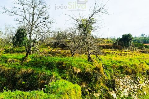 Træhytte i Ponte de Lima, Viana do Castelo, Ponte de Lima - € 45.000 | Ref: CAS_1698 - foto 18