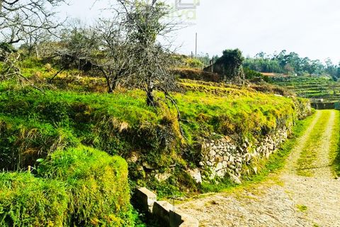 Træhytte i Ponte de Lima, Viana do Castelo, Ponte de Lima - € 45.000 | Ref: CAS_1698 - foto 19