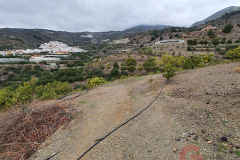 Finca i Itrabo, Granada, Itrabo - € 266.000 | Ref: 1407 - foto 16
