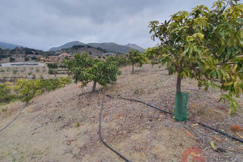 Finca i Itrabo, Granada, Itrabo - € 266.000 | Ref: 1407 - foto 17