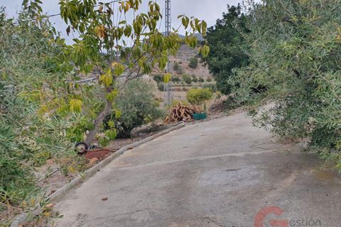 Finca i Itrabo, Granada, Itrabo - € 266.000 | Ref: 1407 - foto 18