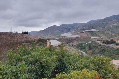 Finca i Itrabo, Granada, Itrabo - € 266.000 | Ref: 1407 - foto 19