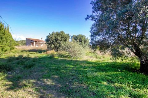 Villa i Teulada, Alicante, Teulada - € 1 470 000 | Ref: 9930 - foto 9