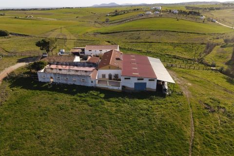 Gårdshus i Moura, Beja, Moura - € 435 000 | Ref: Moura-MP - foto 2