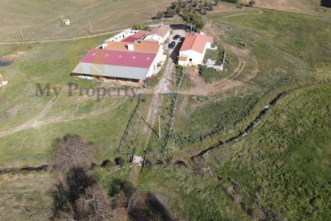 Gårdshus i Moura, Beja, Moura - € 435 000 | Ref: Moura-MP - foto 3