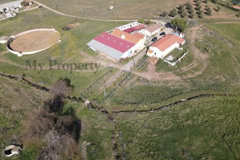 Gårdshus i Moura, Beja, Moura - € 435 000 | Ref: Moura-MP - foto 4