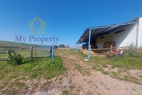 Gårdshus i Moura, Beja, Moura - € 435 000 | Ref: Moura-MP - foto 12