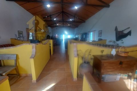 Gårdshus i Moura, Beja, Moura - € 435 000 | Ref: Moura-MP - foto 14