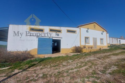 Gårdshus i Moura, Beja, Moura - € 435 000 | Ref: Moura-MP - foto 15