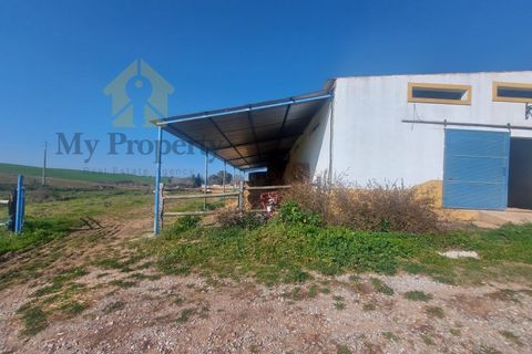 Gårdshus i Moura, Beja, Moura - € 435 000 | Ref: Moura-MP - foto 16