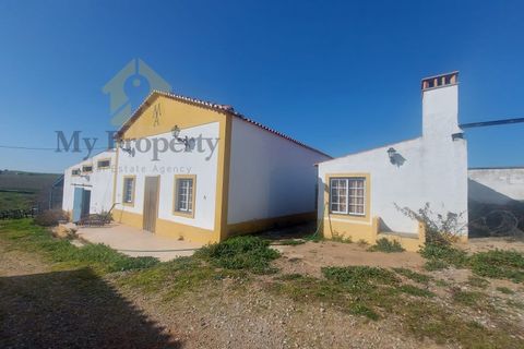 Gårdshus i Moura, Beja, Moura - € 435 000 | Ref: Moura-MP - foto 17