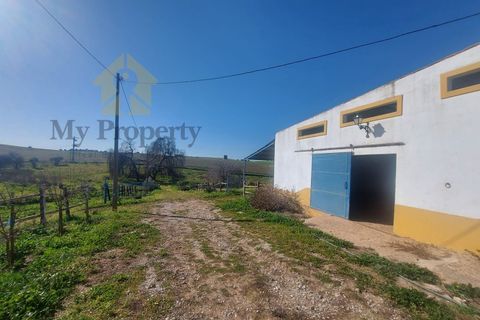 Gårdshus i Moura, Beja, Moura - € 435 000 | Ref: Moura-MP - foto 19