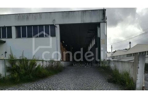Erhvervsejendom i Trofa, Porto, Trofa - € 3.500.000 | Ref: 97964 - foto 2
