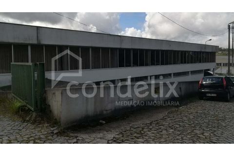 Erhvervsejendom i Trofa, Porto, Trofa - € 3.500.000 | Ref: 97964 - foto 3
