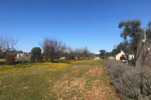 Landejendom i Ostuni, Brindisi, Ostuni - € 380.000 | Ref: 159 - foto 30