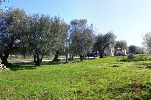 Landejendom i Ostuni, Brindisi, Ostuni - € 380.000 | Ref: 159 - foto 12
