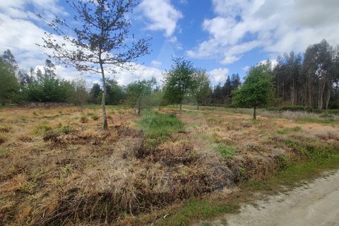 Helårsgrund i Aveiro, Aveiro, Aveiro - € 15.000 | Ref: 1011259/21 GL - foto 1