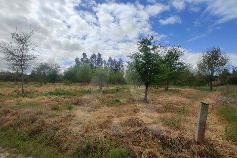 Helårsgrund i Aveiro, Aveiro, Aveiro - € 15.000 | Ref: 1011259/21 GL - foto 2