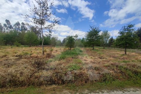 Helårsgrund i Aveiro, Aveiro, Aveiro - € 15.000 | Ref: 1011259/21 GL - foto 6