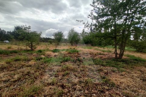 Helårsgrund i Aveiro, Aveiro, Aveiro - € 15.000 | Ref: 1011259/21 GL - foto 7