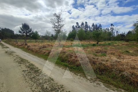 Helårsgrund i Aveiro, Aveiro, Aveiro - € 15.000 | Ref: 1011259/21 GL - foto 8