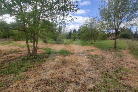 Helårsgrund i Aveiro, Aveiro, Aveiro - € 15.000 | Ref: 1011259/21 GL - foto 9