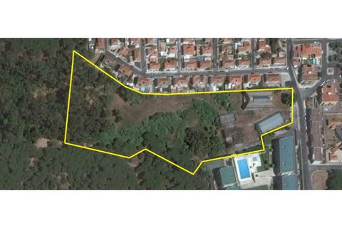 Granja a Lisbon, Lisbon, Lisbon - € 7.500.000 | Ref: 888-201 - foto 31