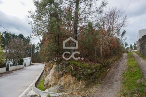 Helårsgrund i Viseu, Viseu, Viseu - € 15.000 | Ref: 353/T/02218 - foto 2
