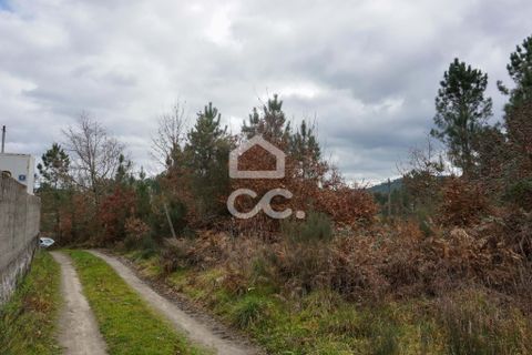 Helårsgrund i Viseu, Viseu, Viseu - € 15.000 | Ref: 353/T/02218 - foto 3