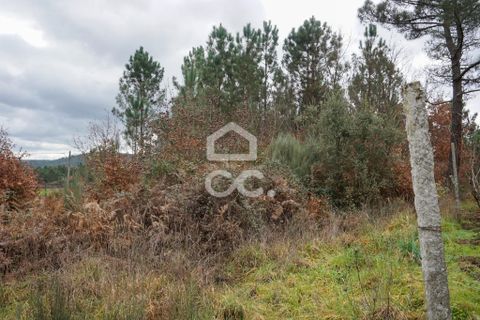 Helårsgrund i Viseu, Viseu, Viseu - € 15.000 | Ref: 353/T/02218 - foto 4