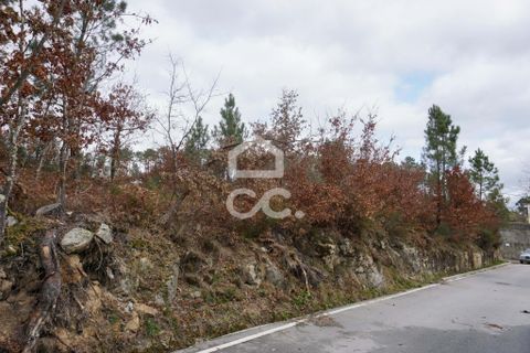 Helårsgrund i Viseu, Viseu, Viseu - € 15.000 | Ref: 353/T/02218 - foto 5