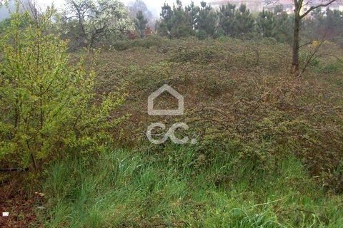 Helårsgrund i Viseu, Viseu, Viseu - € 48.000 | Ref: 353/T/00167 - foto 6