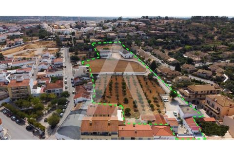 Farm i Algoz, Faro, Algoz - € 1.500.000 | Ref: 1110175/19AF - foto 1