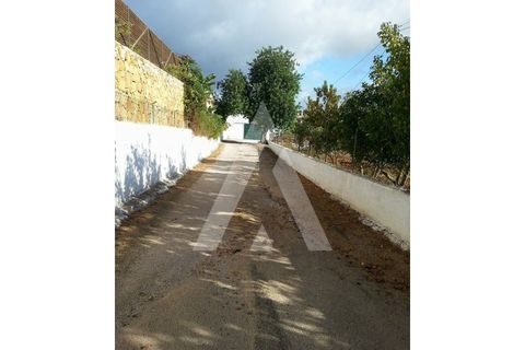 Farm i Algoz, Faro, Algoz - € 1.500.000 | Ref: 1110175/19AF - foto 8