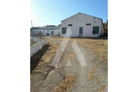 Farm i Algoz, Faro, Algoz - € 1.500.000 | Ref: 1110175/19AF - foto 9