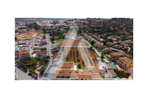 Farm i Algoz, Faro, Algoz - € 1.500.000 | Ref: 1110175/19AF - foto 16