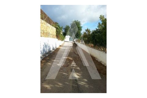 Farm i Algoz, Faro, Algoz - € 1.500.000 | Ref: 1110175/19AF - foto 19