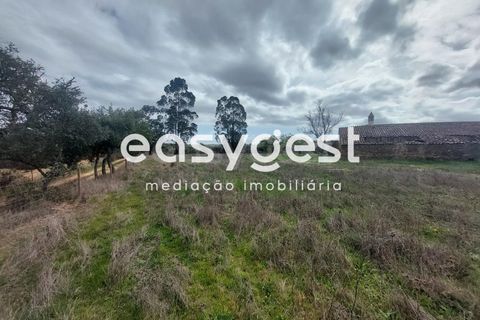 Farm hus i Ourique, Beja, Ourique - € 189.000 | Ref: BJ87052 - foto 2