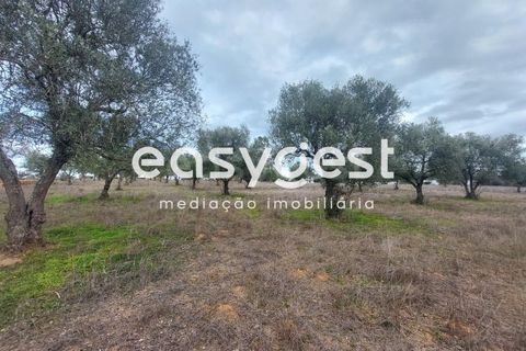 Farm hus i Ourique, Beja, Ourique - € 189.000 | Ref: BJ87052 - foto 10