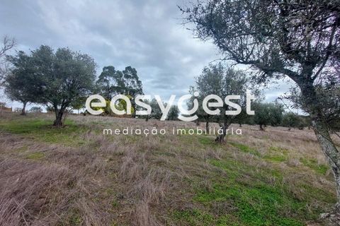 Farm hus i Ourique, Beja, Ourique - € 189.000 | Ref: BJ87052 - foto 12