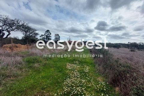 Farm hus i Ourique, Beja, Ourique - € 189.000 | Ref: BJ87052 - foto 14