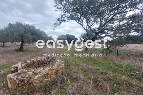 Farm hus i Ourique, Beja, Ourique - € 189.000 | Ref: BJ87052 - foto 15