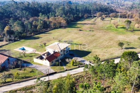 Farm i Soure, Coimbra, Soure - € 325.000 | Ref: ZMPT548510 - foto 8