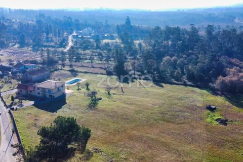 Farm i Soure, Coimbra, Soure - € 325.000 | Ref: ZMPT548510 - foto 9