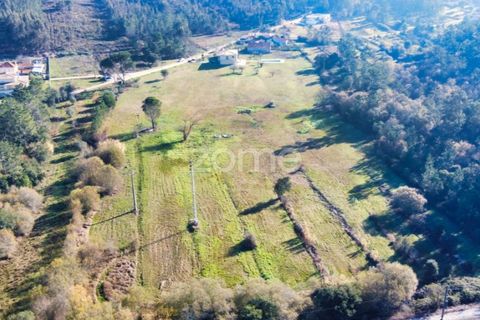 Farm i Soure, Coimbra, Soure - € 325.000 | Ref: ZMPT548510 - foto 10