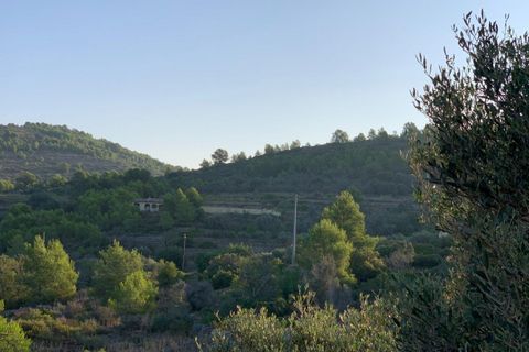 Finca i Senija, Alicante, Senija - € 650.000 | Ref: FD40001 - foto 8